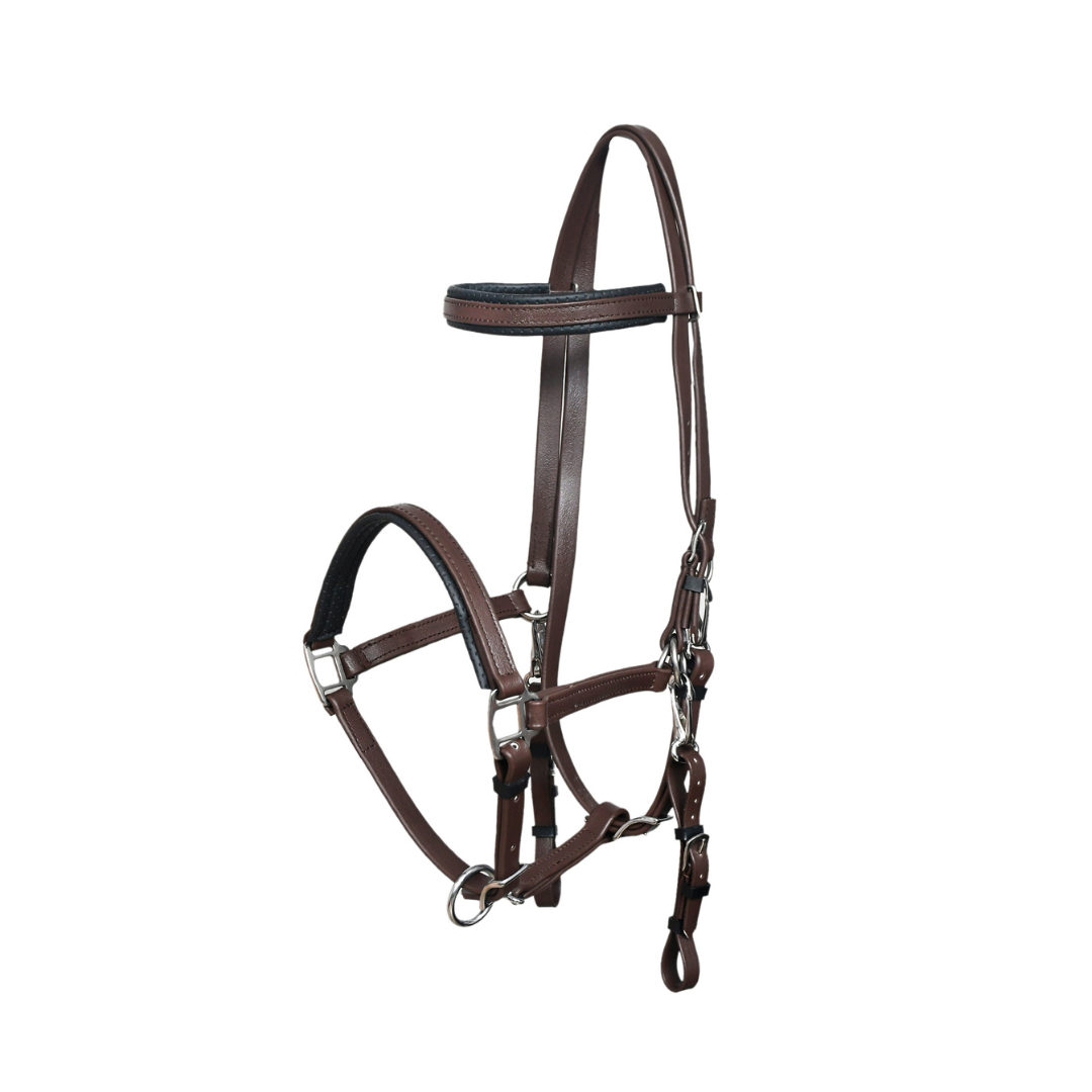 Leather Look Endurance Bridle Breast Plate Set - Matt Finish