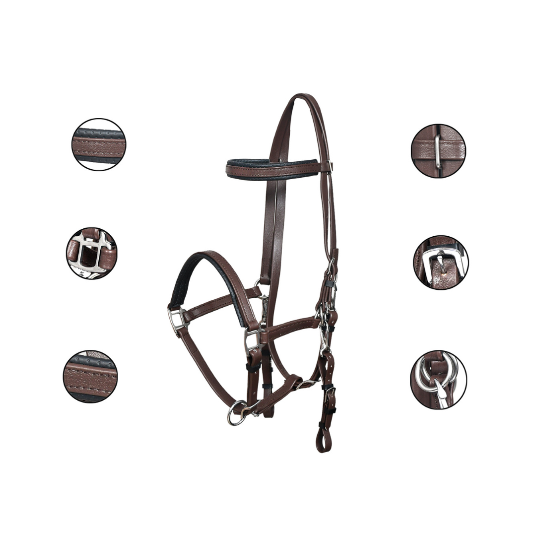 Leather Look Endurance Bridle Breast Plate Set - Matt Finish